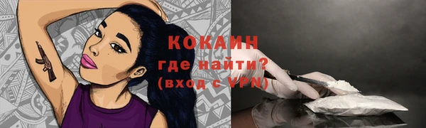 индика Баксан