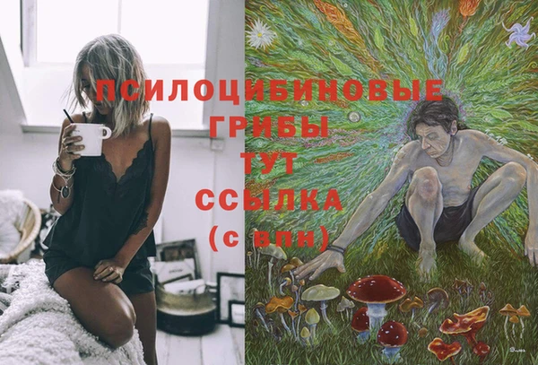 дживик Балабаново