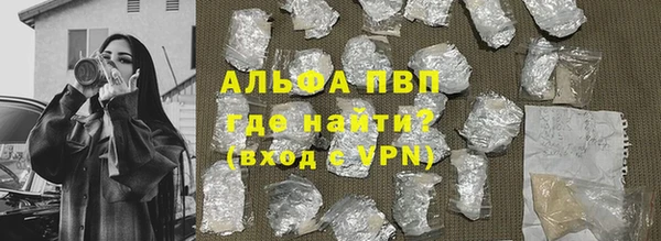 индика Баксан