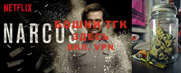 индика Баксан