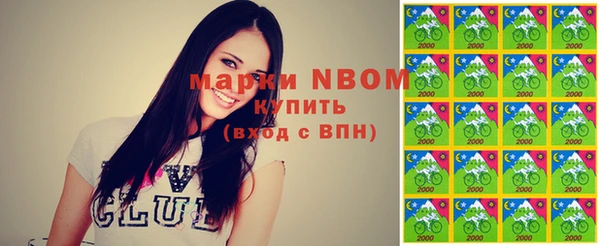 индика Баксан
