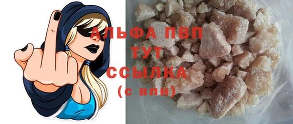 индика Баксан
